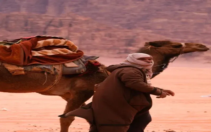 Camel handler Aswan desert tour — traditional guided camel excursion to St Simeon Monastery